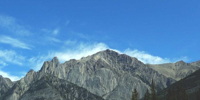 在安吉竹海秘境徒步：一种关于阅读与生活方式的深度修行