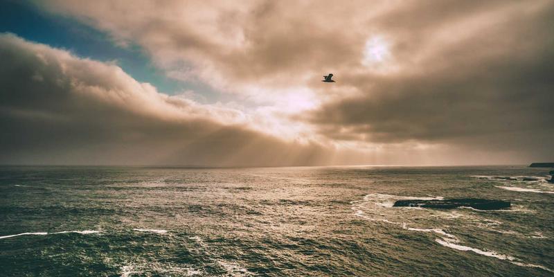 在安吉非遗手工艺中阅读生活：探访竹编与白茶守艺人的博客手记