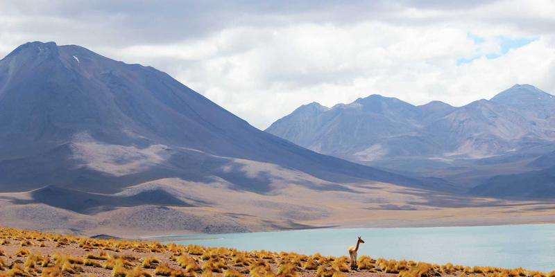 安吉26°C：美食与慢生活的山水哲学