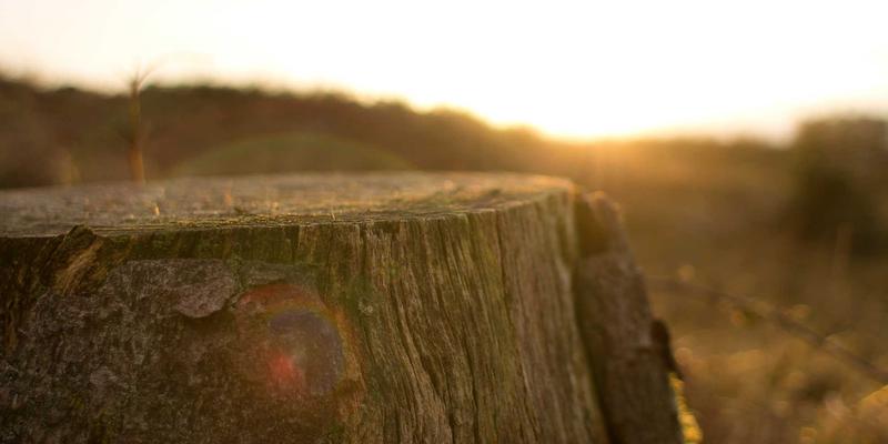 安吉52：在简约生活与深度记录中，重获内心的秩序与丰盈