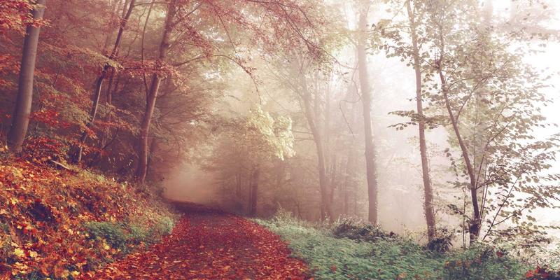 安吉59号：在美食与简约中，寻回生活的本真滋味