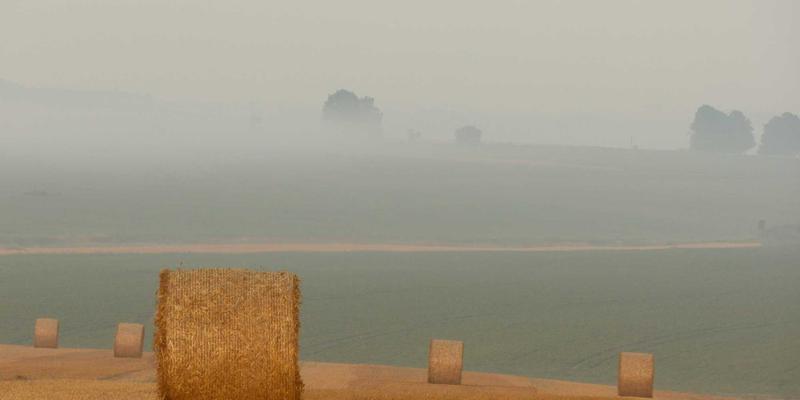 安吉74：在竹林深处，用旅行和阅读重塑个人博客的灵魂