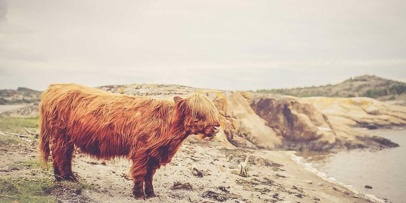 安吉84号公路:一场串联旅行、阅读与美食的灵魂漫游