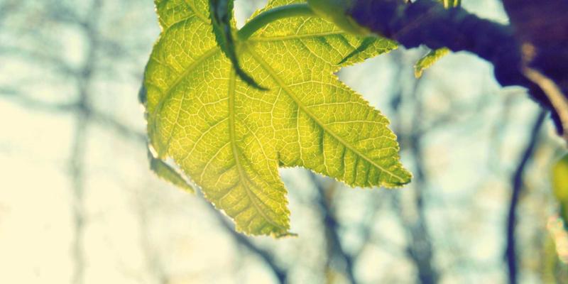 安吉亲子自然课堂：在竹林溪流间践行简约生活，重塑亲子旅行新方式