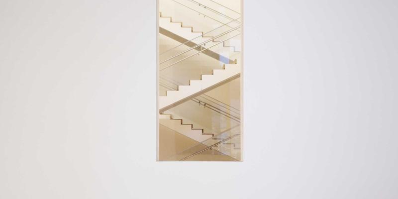 安吉宠物友好旅行全攻略：携毛孩入住特色民宿，品味美食与书香之旅