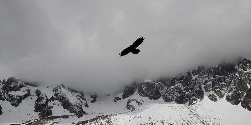 安吉攻略：在竹海茶香中，寻回生活的本真滋味