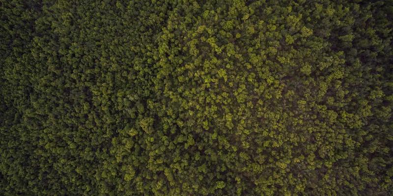 安吉旅行：在竹海茶香中，阅读一座城的山水诗篇