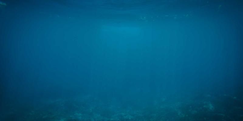 安吉春日寻鲜记：从竹林挖笋到餐桌美味的全攻略 | 美食博主亲测