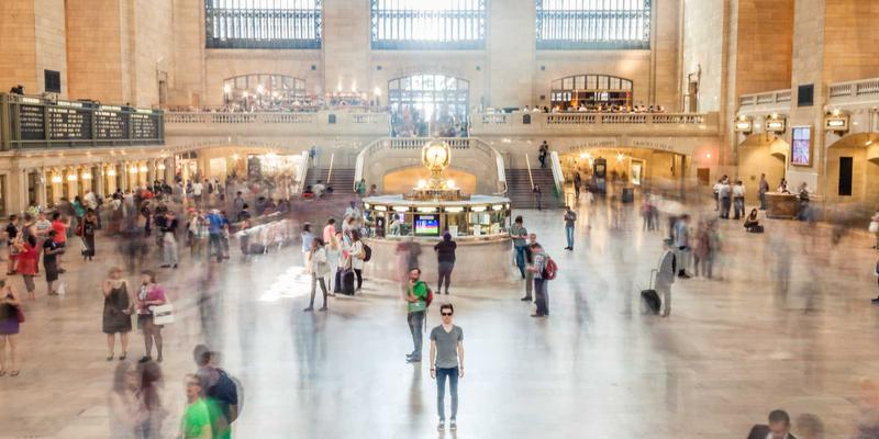 安吉深秋赏银杏地图：在指南村与龙王山的黄金秘境中，重拾阅读与简约生活的本真