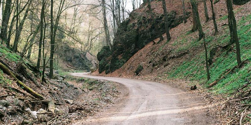 安吉生态农业体验：一场融合旅行与简约生活的有机餐桌之旅