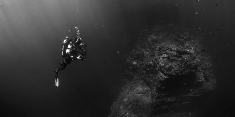 安吉生态农场体验手记：从采摘到餐桌的有机生活实践 | 个人博客中的美食与生活方式探索