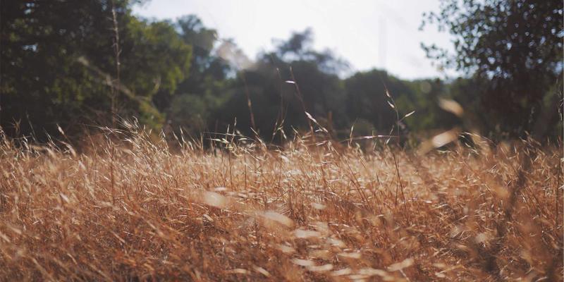 安吉的成长：从个人博客出发，探寻自我与世界的对话