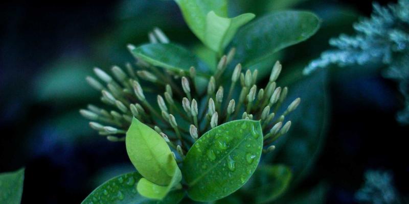 安吉艺术乡建探访：在小瘾半日村与美术馆群落中，重拾简约生活与在地美食